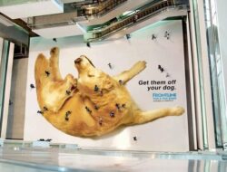 Inovasi Pemasaran Kreatif lewat Strategi Guerrilla Marketing
